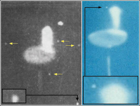 Podemos apreciar en esta imagen la cantidad y tamaño de los corpúsculos presentes en las imágenes del Ovni del 17